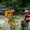 카페반월 - 광산구 반월안길 7 | 카페반월