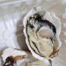 바다119회도매점 이미지