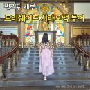 가족여행 | 세부 시티투어 트리쉐이드 시라오팩 인생샷 명소 가족여행 후기