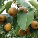 형국농장 이미지