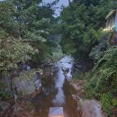 전원일기마을 오토 캠핑장 | 조용하고 포근한 감성 가득한 경주캠핑장 전원일기펜션오토캠핑장 후기