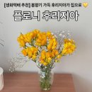 플로니에 | 생화택배 추천 플로니 l 봄향기 가득한 프리지아, 후리지아를 택배로 받을 수 있는 곳