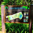 우름바위 이미지