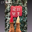 경주카페 국보31호 경주가볼만한곳 황리단길카페 말고 여기도!