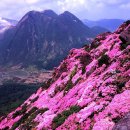 아소산 Daum카페