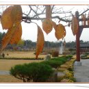 왕인박사유적지 영월관 이미지