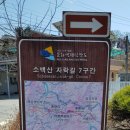 전대2리 | 52. 소백산 자락길 7자락 영춘면사무소-김삿갓묘 18.2km(2020.03.14)