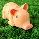 핑크돼지 이미지