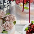 소오다과 이미지