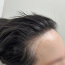 라인디자인 티스토리