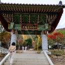 우면산 (대성사 옆) 이미지