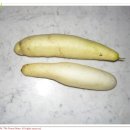 성인농장 이미지