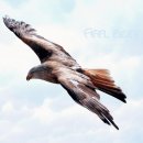 알파플러스학원 이미지