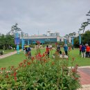 이기백 평택섶길 1코스 대추리길(🔴세부시간 있음🔴) 이미지