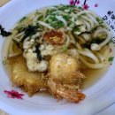 백야식당 | 과하지도 부족하지도 않은 딱 기본에 충실한 초밥 식당 스시백야 맛 본 후기