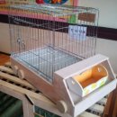 청주YMCA 이미지