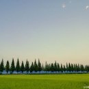 죽동마을회관 이미지