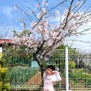 야촌경로당 이미지