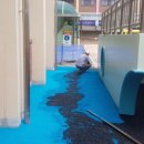 대전대양초교 이미지