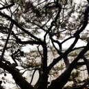 삼호본동경로당 이미지