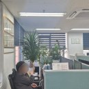 글로벌행정사 이미지