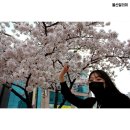 문화예술회관 옆 이미지