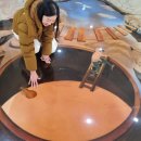 꽃이야기와 치유 | 💖 느리게 걷는 힐링의 하루! 2025 완주 시나브로 치유길 여행 후기 🌿