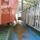 일꾼한우농장 이미지