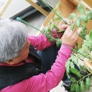 도시농업센터 이미지