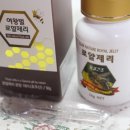 여왕벌마켓