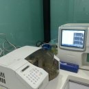 고덕24시 동물병원 이미지