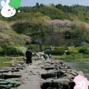 창원-주남돌다리 이미지