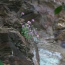 스테이 철원 이미지