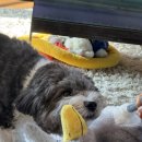 개인택시영도LPG충전소 | 260102~03 정근이형과 부산 - 평산옥, 이바구길, 영도, 송도해수욕장