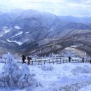 타임9002 이미지