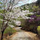 천주산 만남의 광장 이미지