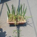 삼동농장 이미지