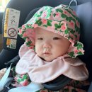 수목원 | 광주근교 아기랑 나들이 다녀온 광주시립수목원 후기