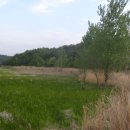 우포가시연꽃마을 이미지