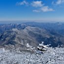 조은사람들 이미지