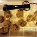 금호펜션 이미지