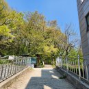 영종동 행정복지센터 | 영종도 백운산 등산 후기 백운산등산코스,시간(영종동행정복지센터~&gt;정상가는법)