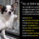 장충파출소 이미지