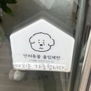 다뭉
