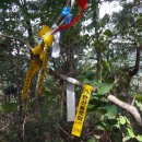 불당골1 이미지