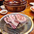 포인트정육