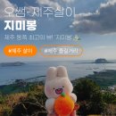 지미봉주차장 | 제주 동쪽 최고의 뷰! '지미봉' 오르고 목화휴게소에서 라면&amp;준치&amp;맥주 낮술 (겨울인데 가을 날씨? 🍂)