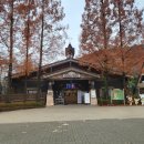 홈브리지 캐빈호스텔 이미지