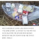 北 김여정, "잡종XXX들에 대한 분노, 하늘 끝 닿았다" 이미지