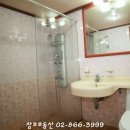 인화오벨리아 이미지